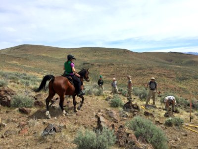 Bald Mountain