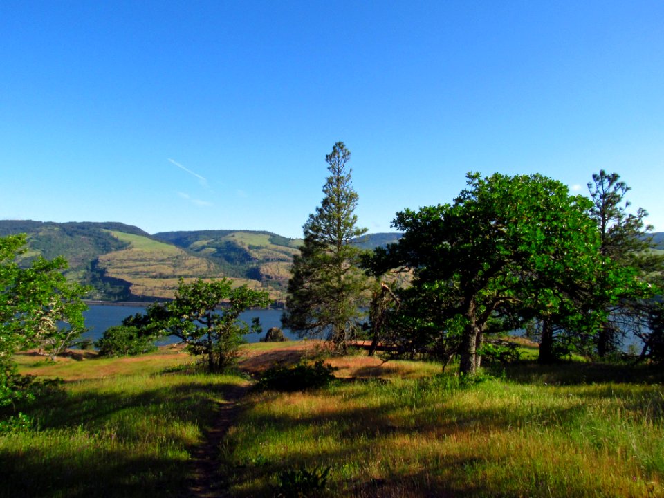 Columbia River Gorge in OR