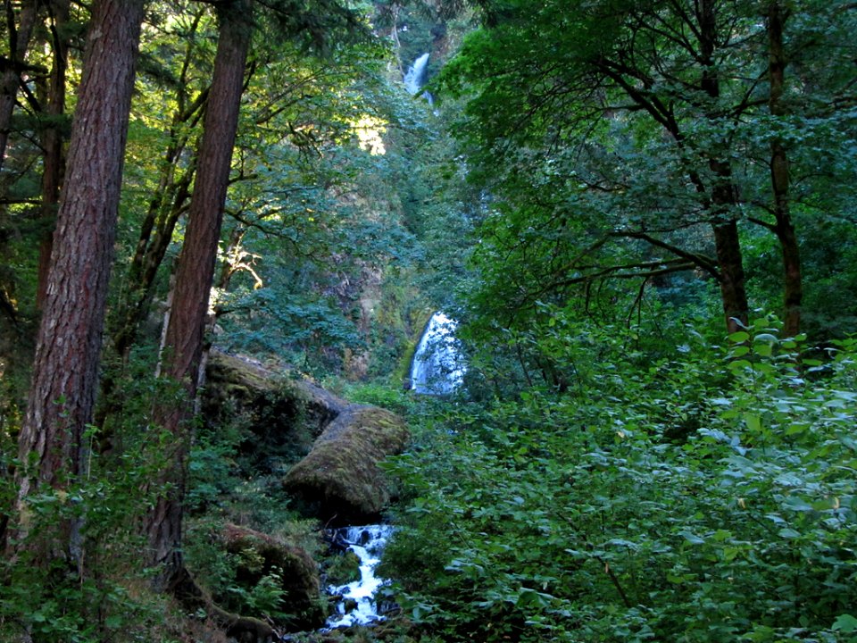 Waterfall at Columbia River Gorge in OR