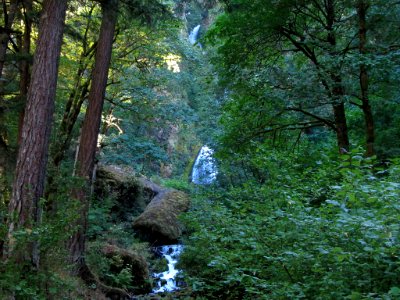 Waterfall at Columbia River Gorge in OR