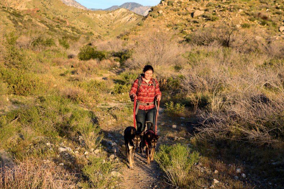 Pacific Crest Trail