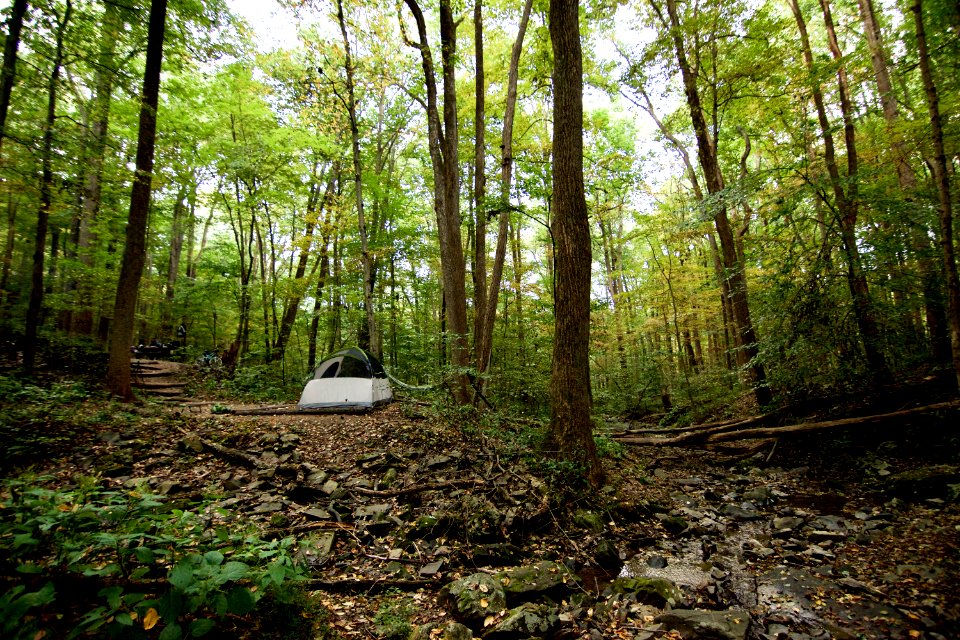 Tent camping at Owen’s Creek