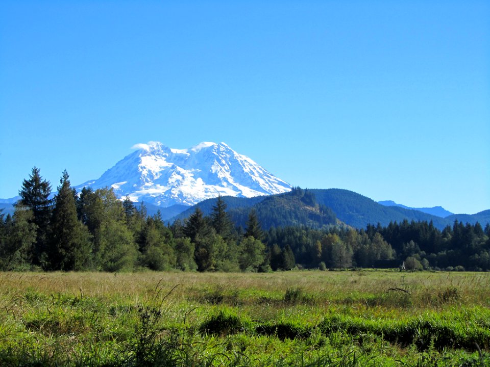 Mt. Rainier in WA