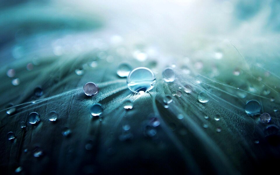 Character rain blue