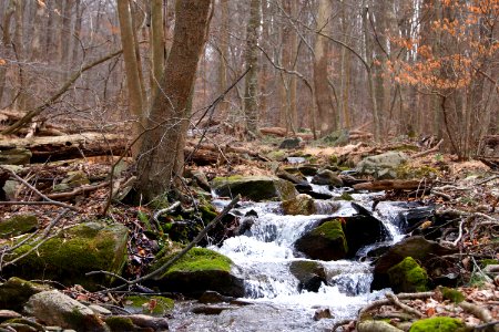 Owen's Creek photo