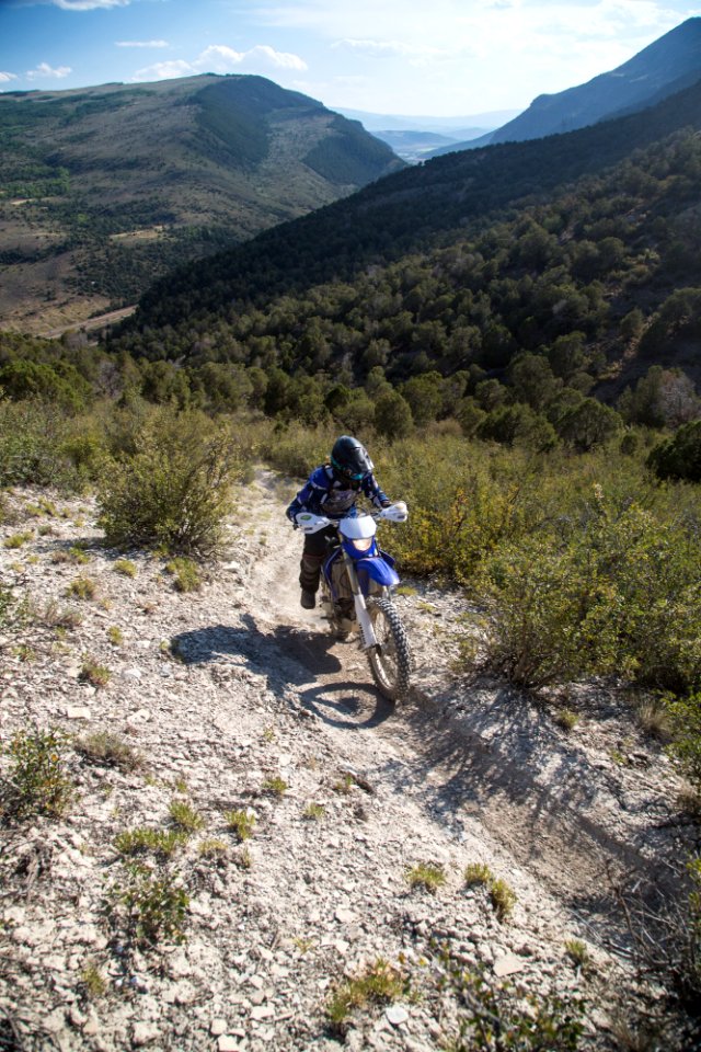 small-Bocco Mtn OHV CO-1206
