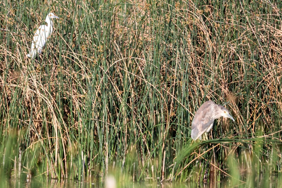Blanca Wetlands Recreation Area