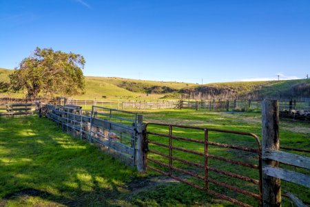 Cotoni-Coast Dairies photo