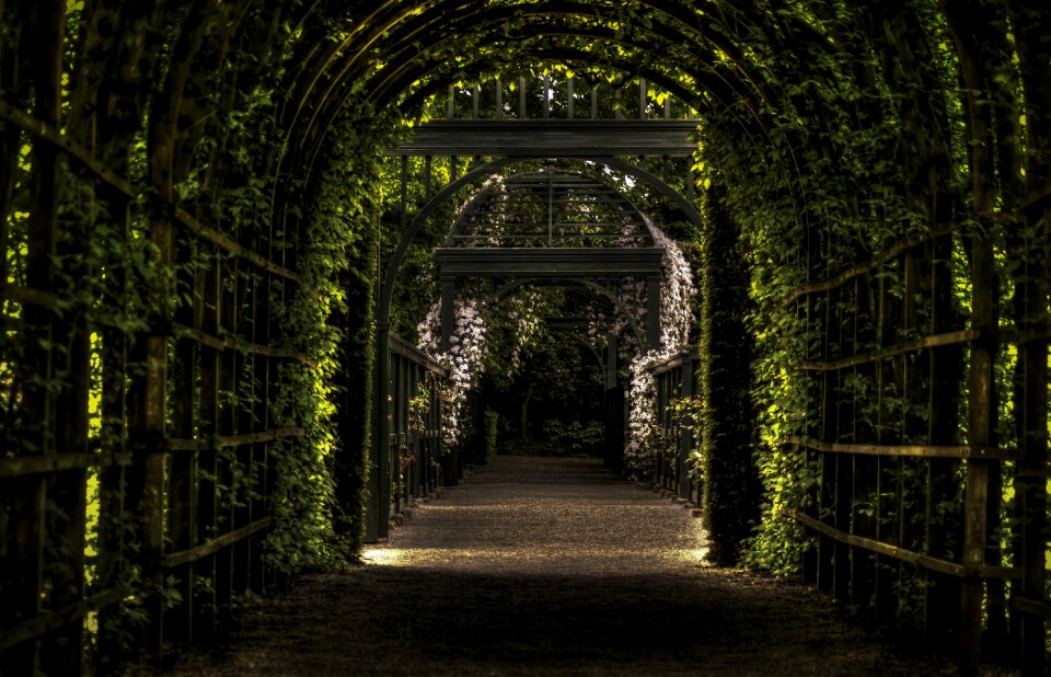 Leaves arches black garden