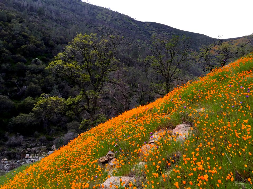 Merced River Recreation Area