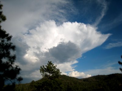 Thunderhead