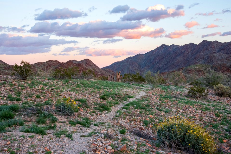 Corn Springs Campground