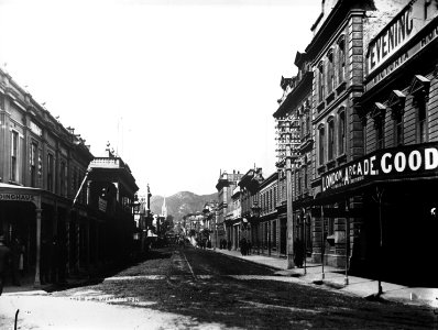 74; Lambton Quay   Willis Street - Circa 1890 - Glass Plate Negative