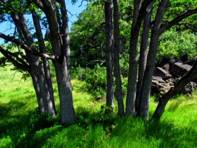 Labyrinth-Coyote Wall Trail in WA