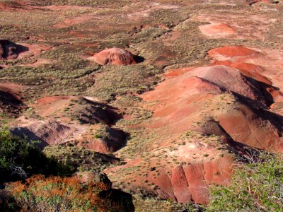 Painted Desert at Petrified Forest NP in Arizona photo