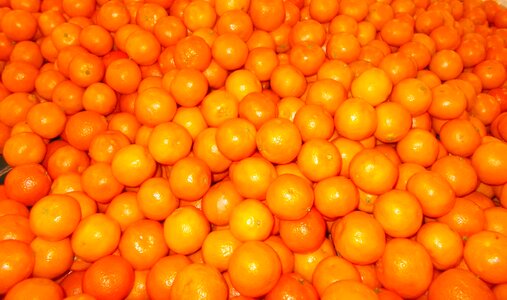 Orange fruit Free photos