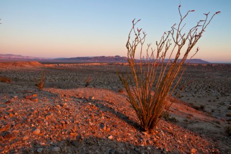 Yuha Desert