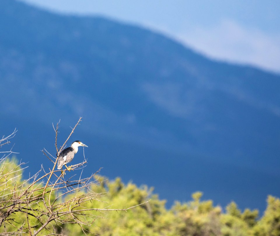 Blanca Wetlands Recreation Area