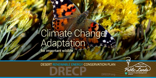 Desert Renewable Energy Conservation Plan