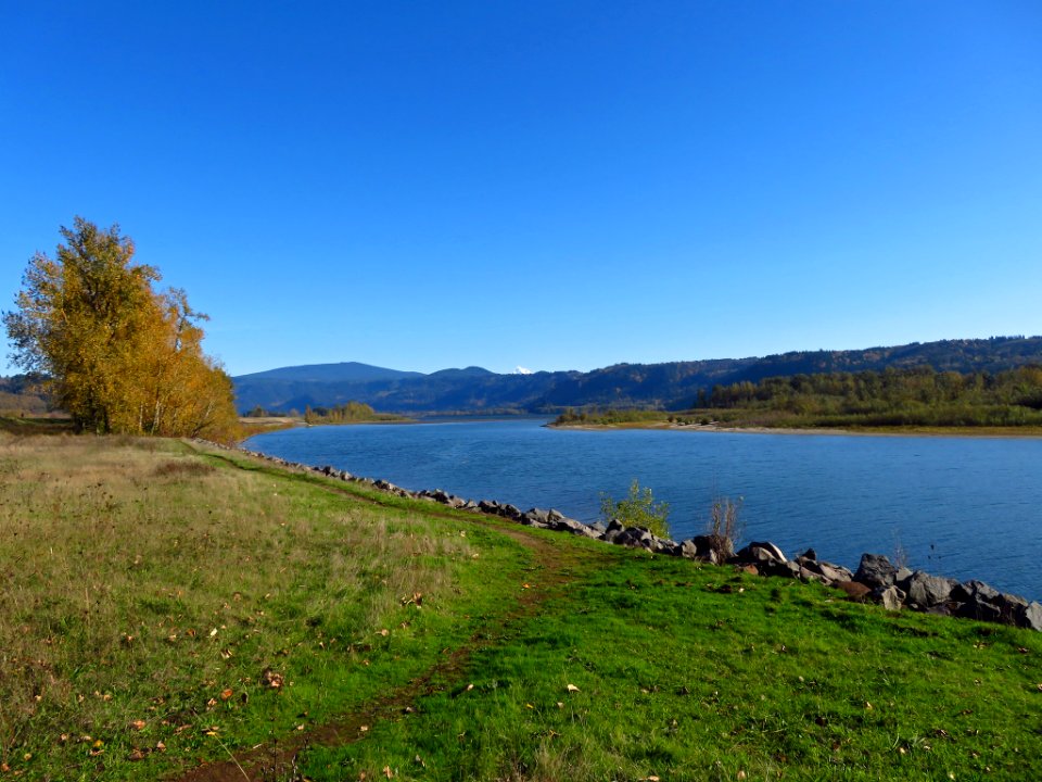 Columbia River at Steigerwald Lake NWR in WA