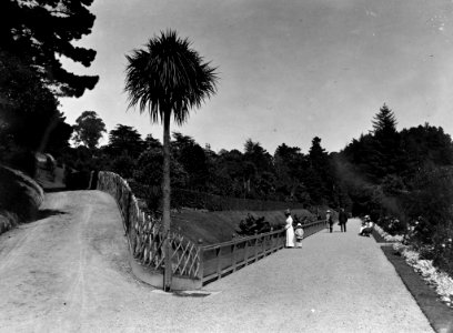 00138-13453; Botanic Garden, people walking along pathway - [Circa 1915]