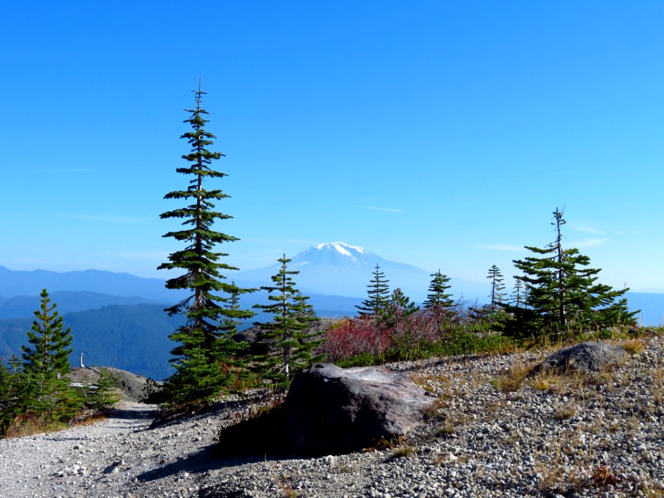 Ape Canyon Trail in WA
