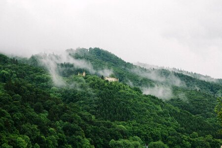 Green nature fortress