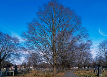 Sucusunna United Methodist Church-03224