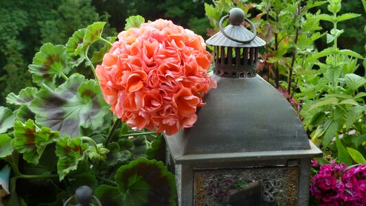 Windlight lanterns lamps