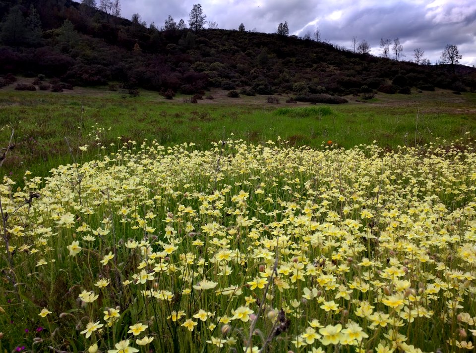 Berryessa Snow Mountain National Monument Dedication Celebration photo