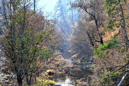2018 Carr Fire