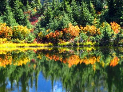 Autumn at Picture Lake in WA photo