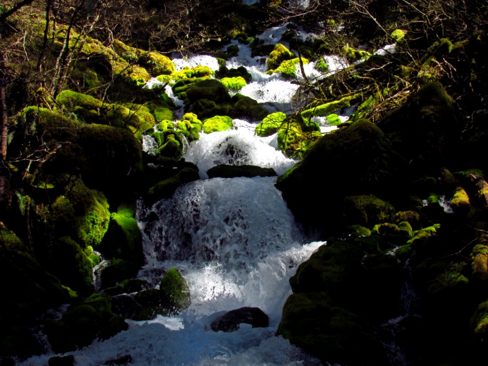 Falls Creek Falls Trail in WA