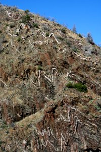 Folded Rock
