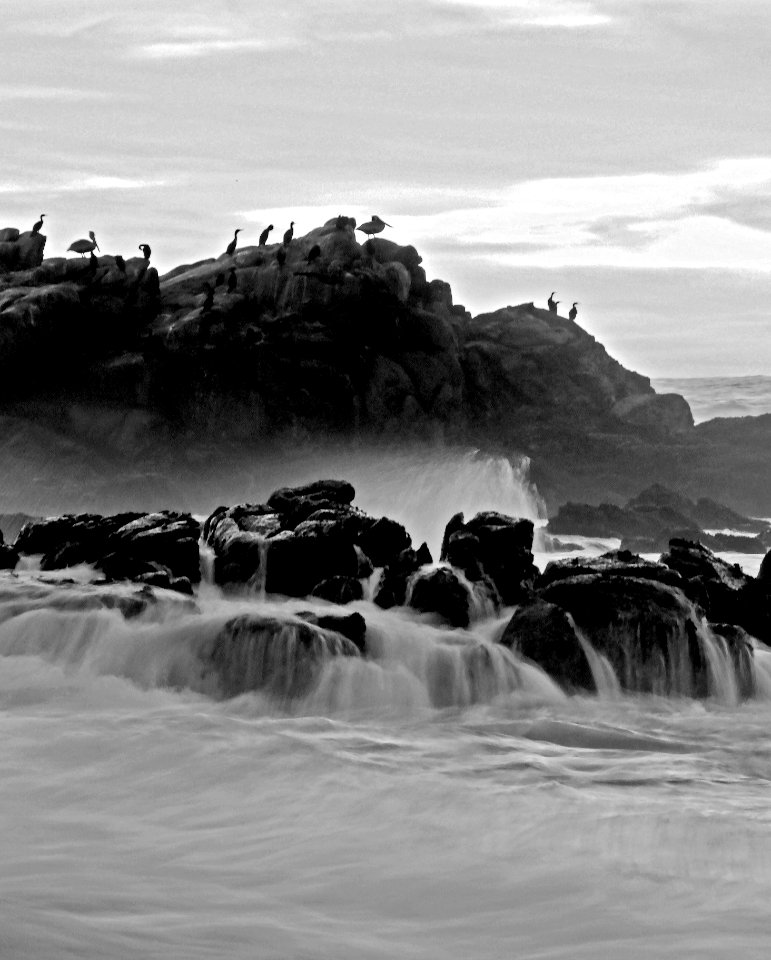 Point Arena-Stornetta unit of the California Coastal National Monument