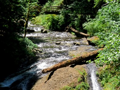 Oneonta Creek at Columbia River Gorge in Oregon photo