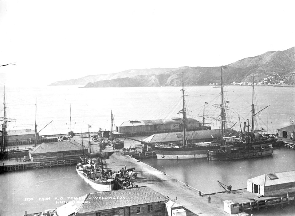 53; Queens Wharf from Post Office Tower - Circa 1890 - Glass Plate Negative