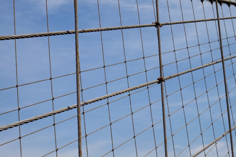 The Net