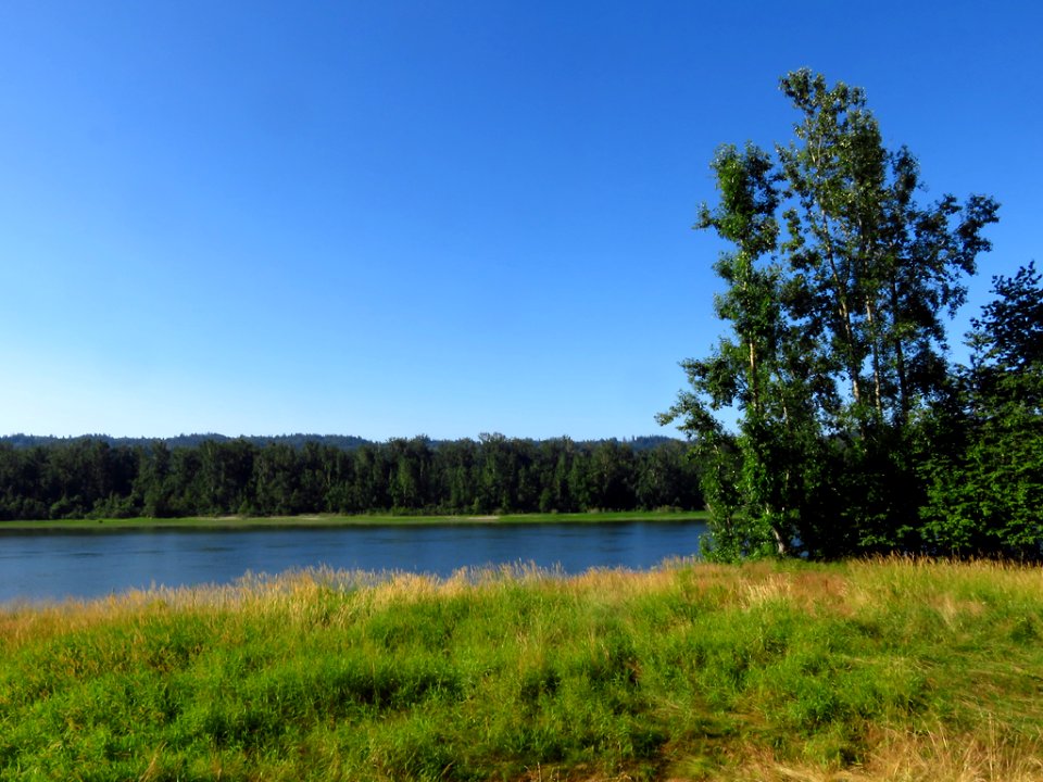 Columbia River at Steigerwald Lake NWR in WA
