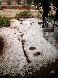 Snow in July in Arizona?