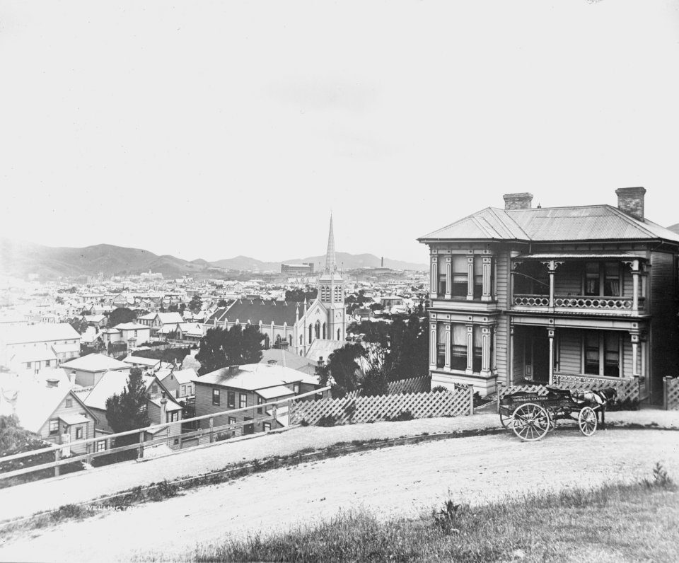 39; Elevated view of Wellington from Dixon Street - Circa 1890 - Glass Plate Negative
