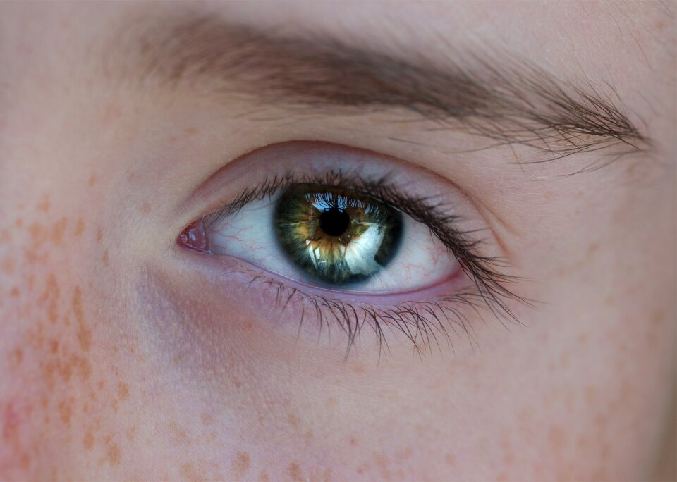 Close up view pupil