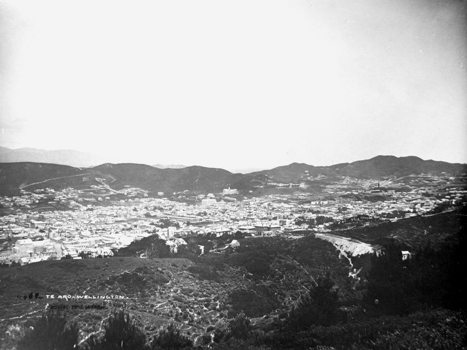 38; Elevated view of Te Aro from Kelburn Hills - Circa 1901 - Glass Plate Negative