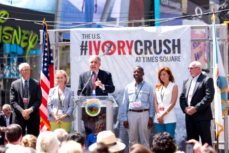 Ivory Crush 2015 - New York City