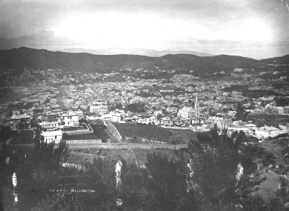 14; Elevated view of Te Aro,  Wellington - Circa 1885 - Glass Plate Negative