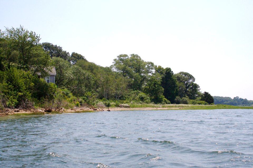 Tredwells Island Warf High Tide