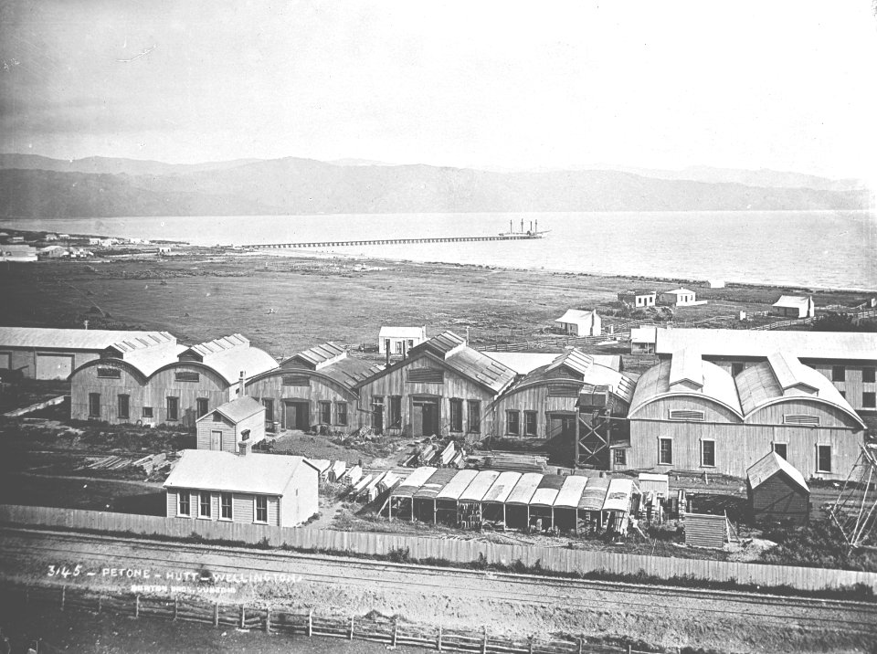 56; Petone Foreshore - Circa 1900 - Glass Plate Negative
