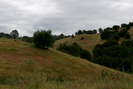 Cronan Ranch