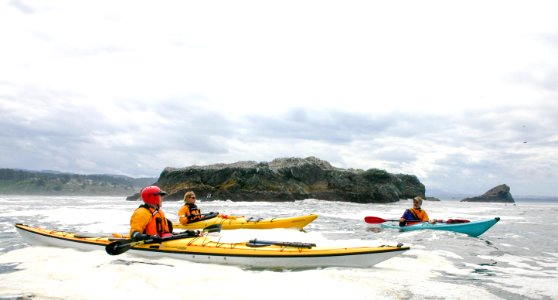 California Coastal National Monument at Trinidad Head