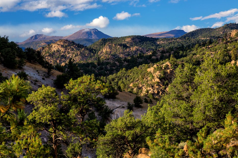 Browns Canyon National Monument